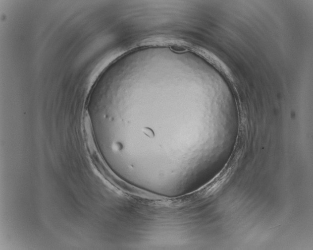 X0000073990855200609111531