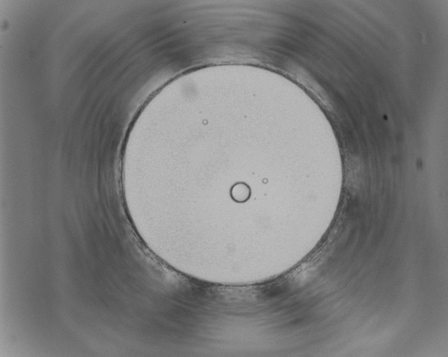 X0000073990856200609111531