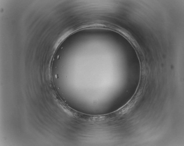 X0000073990858200609111531