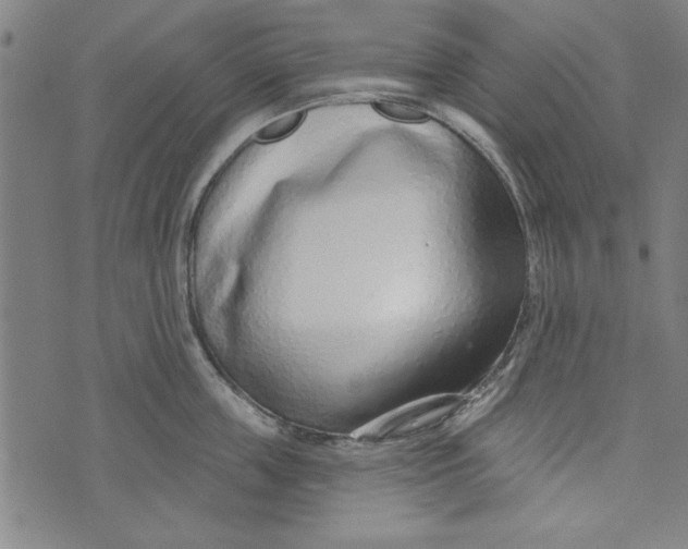 X0000073990859200609111531