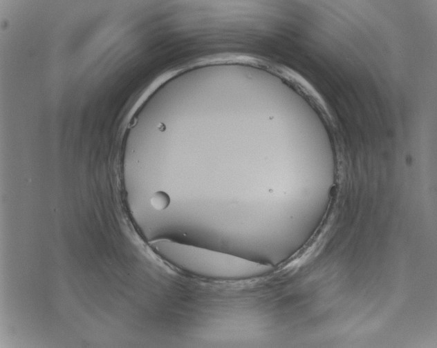 X0000073990860200609111531