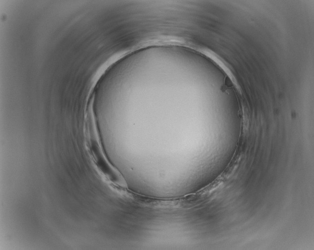 X0000073990861200609111531