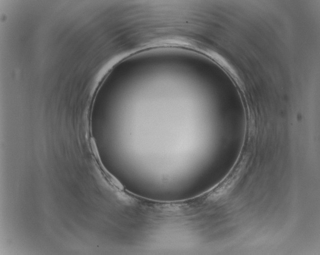 X0000073990862200609111531