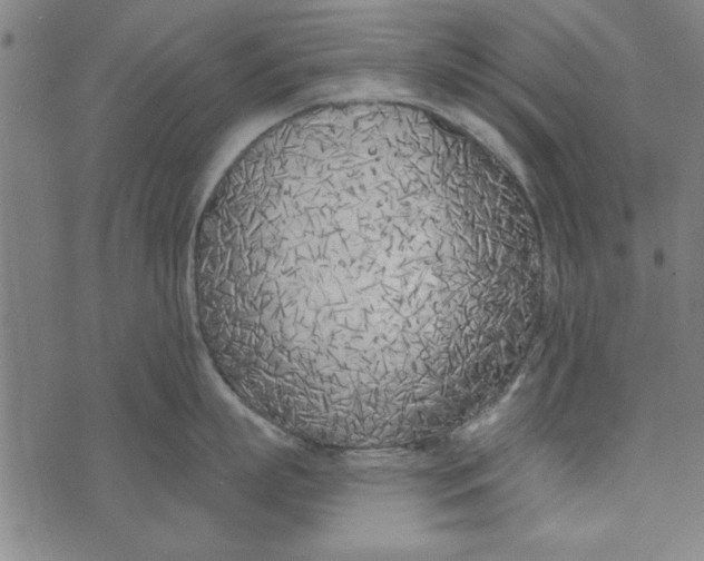 X0000073990863200609111531