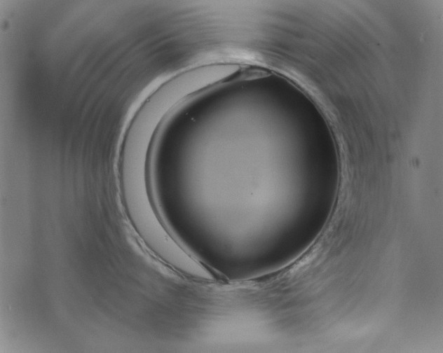 X0000073990864200609111531