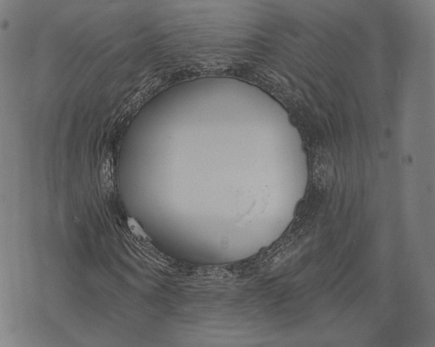 X0000073990866200609111531