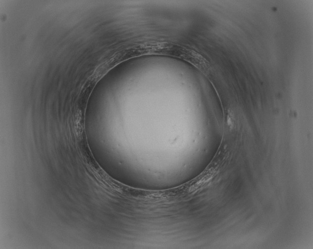 X0000073990867200609111531