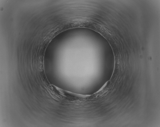 X0000073990868200609111531