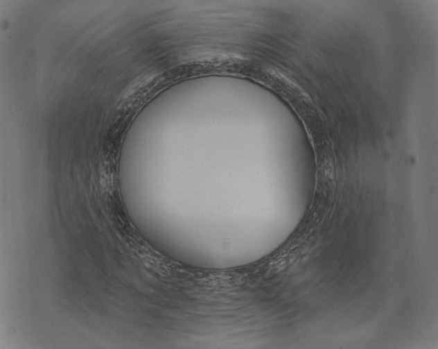 X0000073990869200609111531