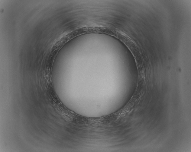 X0000073990870200609111530