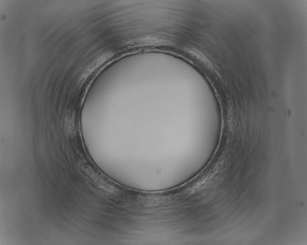 X0000073990873200609111530