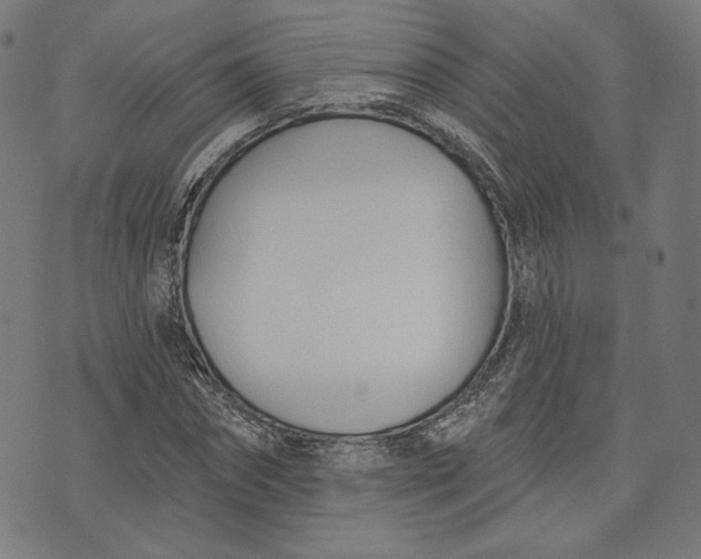 X0000073990874200609111530