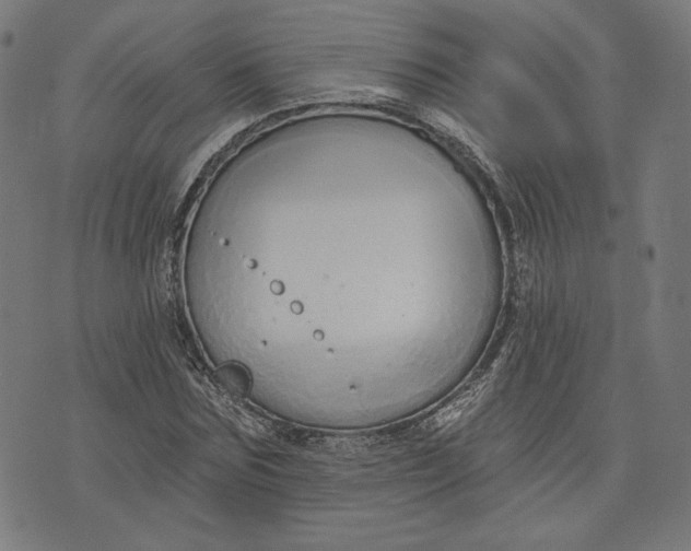 X0000073990875200609111530