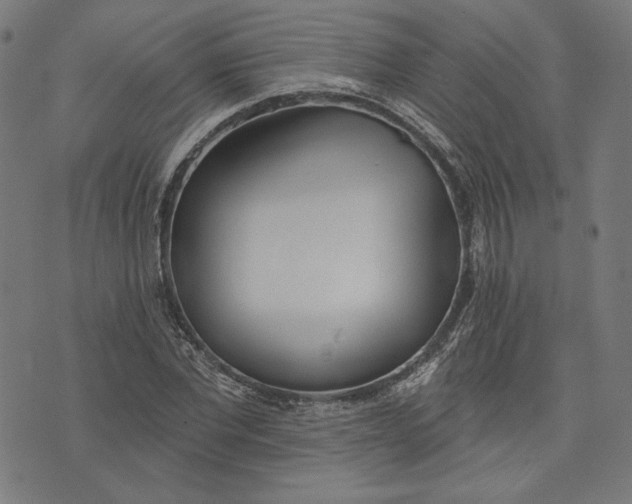 X0000073990877200609111530