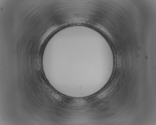 X0000073990878200609111530