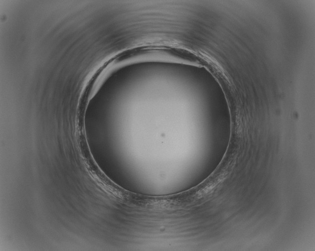 X0000073990880200609111530