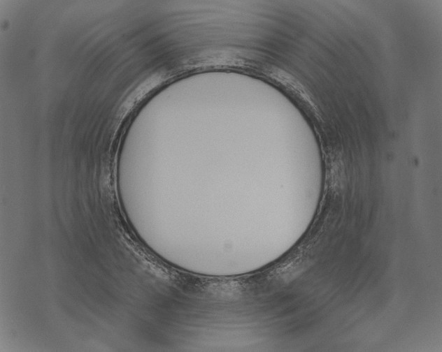 X0000073990882200609111530