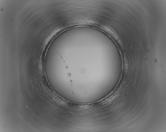 X0000073990883200609111530