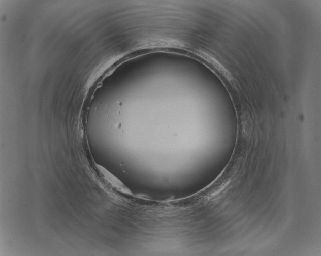 X0000073990885200609111530