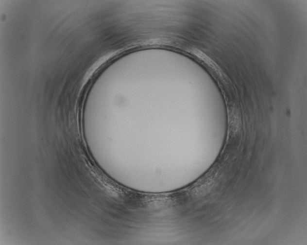 X0000073990886200609111530