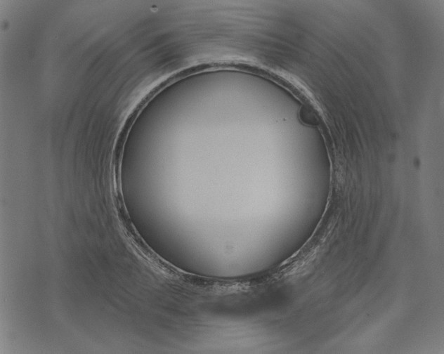 X0000073990887200609111530