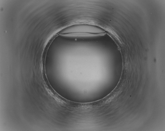 X0000073990888200609111530