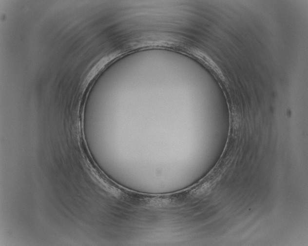 X0000073990890200609111530