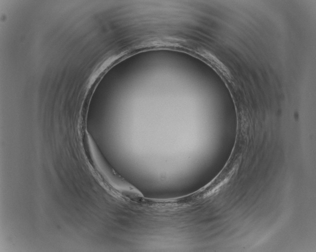 X0000073990893200609111530