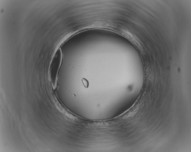 X0000073990900200609111530