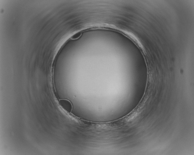 X0000073990903200609111530