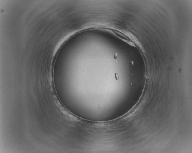 X0000073990904200609111530