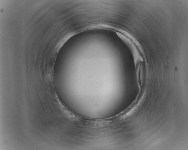 X0000073990905200609111530