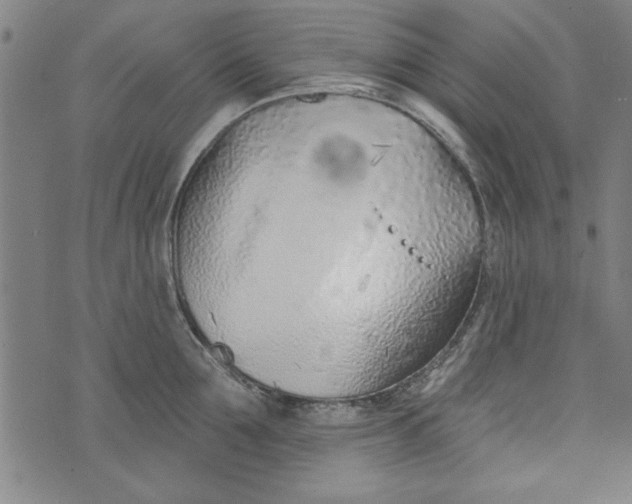 X0000073990907200609111530