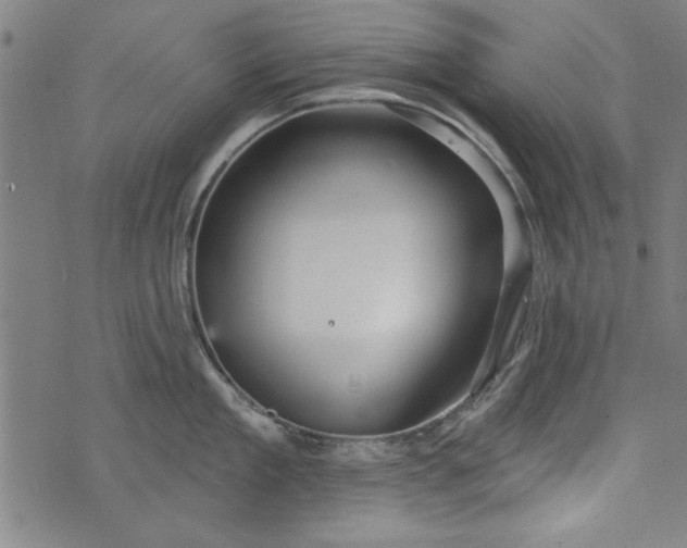 X0000073990909200609111530