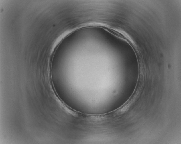 X0000073990910200609111530