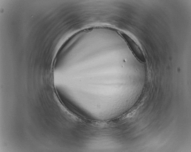 X0000073990911200609111530