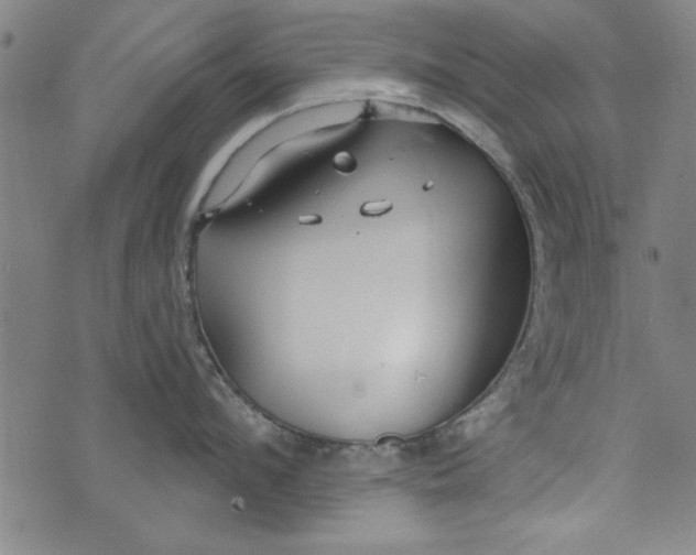 X0000073990912200609111530