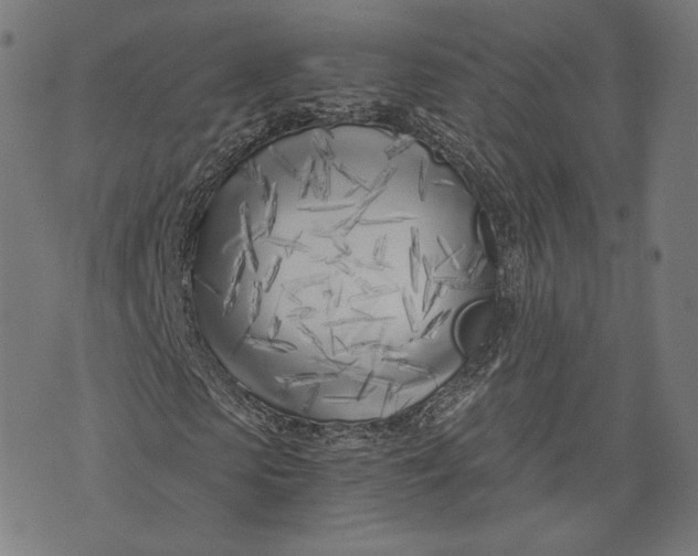 X0000073990913200609111529