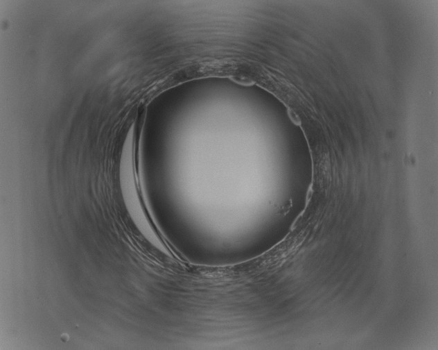 X0000073990914200609111529