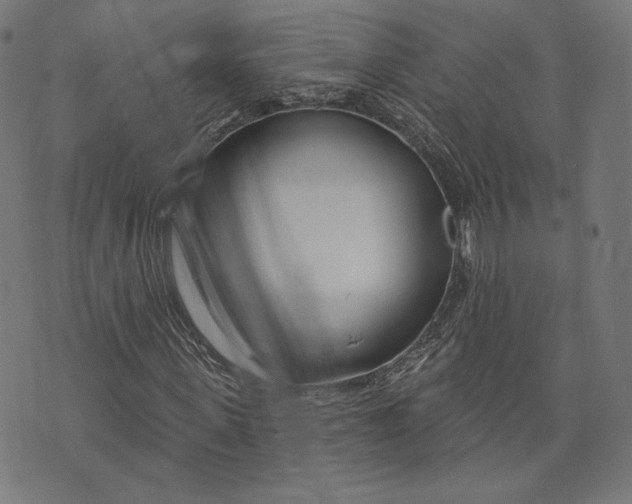 X0000073990915200609111529