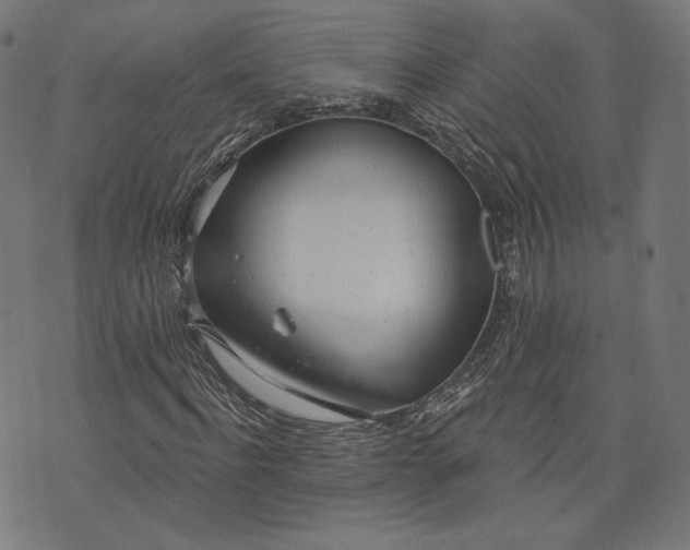 X0000073990916200609111529