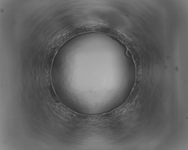 X0000073990917200609111529