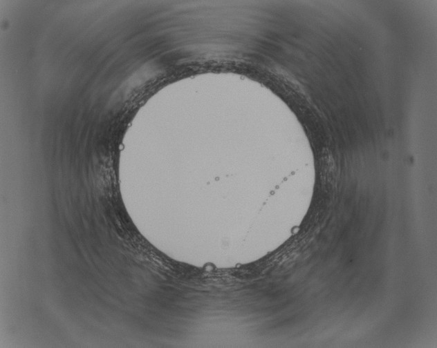 X0000073990918200609111529