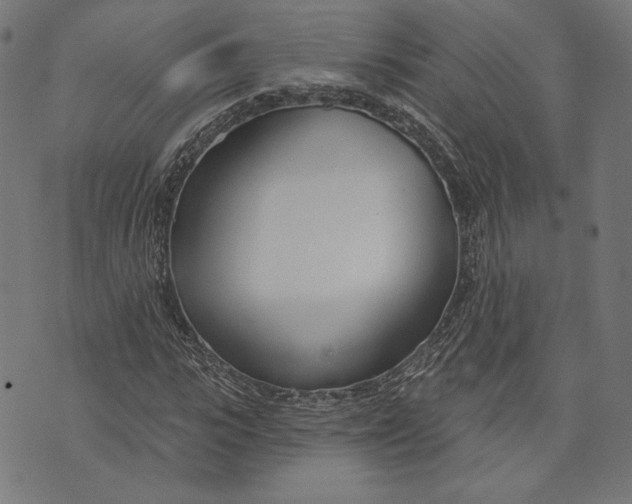 X0000073990919200609111529