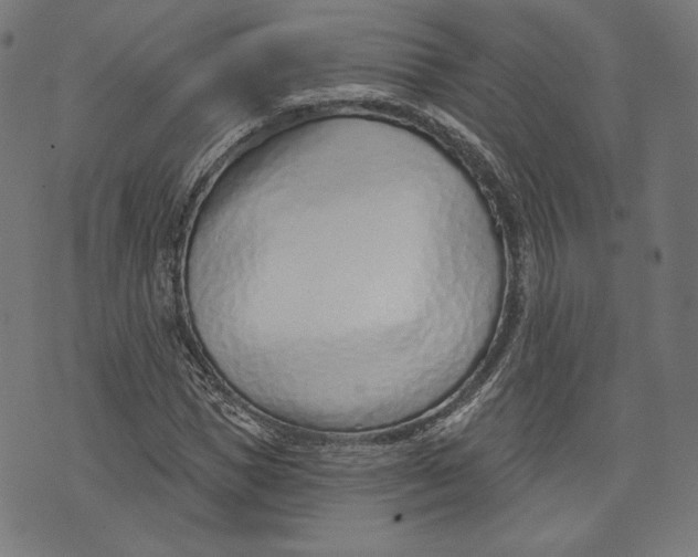 X0000073990921200609111529