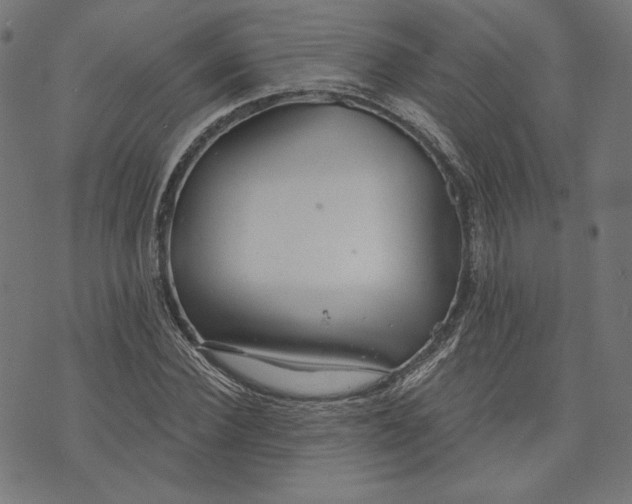 X0000073990924200609111529