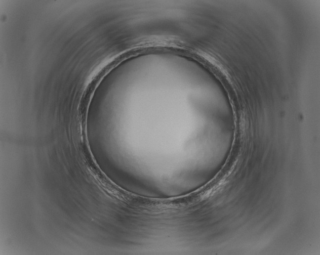 X0000073990925200609111529