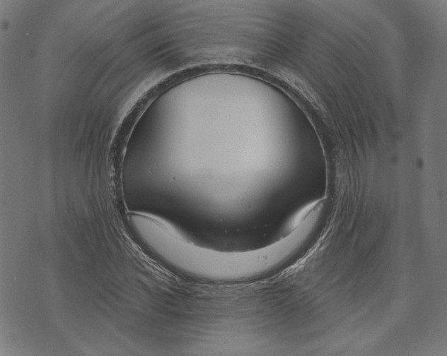 X0000073990926200609111529