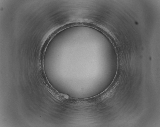 X0000073990927200609111529