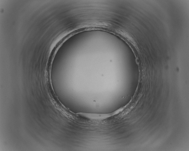 X0000073990928200609111529